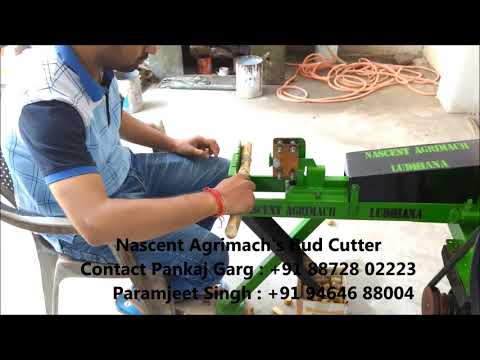 Sugarcane Crusher