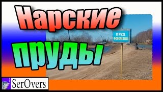 Отчеты о рыбалке на нарских прудах