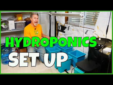 Ebb & Flow Hydroponics ( AirCube Explained)