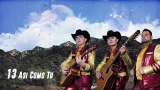 Asi Como Tu - Los Plebes Del Rancho De Ariel Camacho
