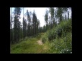 Eva Cassidy - Tall trees in Georgia - music video