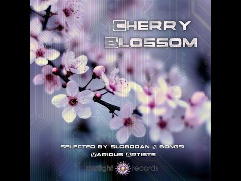 VA - CHERRY BLOSSOM (SELECTED BY SLOBODAN & BONGSI) •●ૐ●•