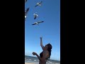 Galveston tx