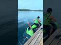 Firework Catch