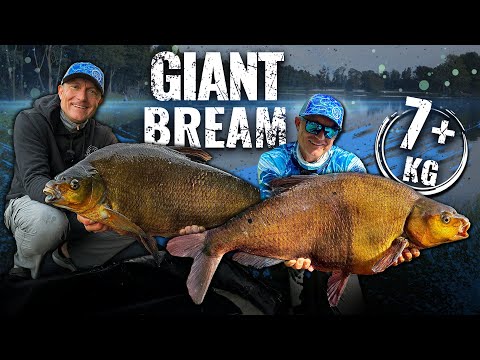 Döme Gábor - Giga dévérek methoddal Skandináviából