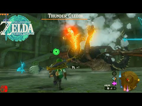 Legend of Zelda TOTK - Defeat Strong Thunder Gleeok & Coliseum Ruins - Hyrule Field