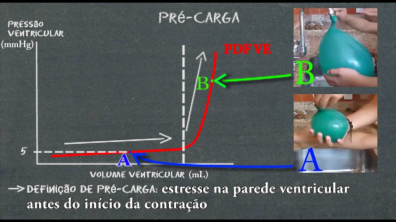 Fisiologia cardíaca - Pré e pós carga