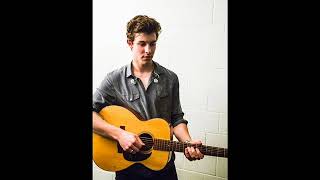 Shawn Mendes   What If I Told You A Story    Tribute Official Lyrics