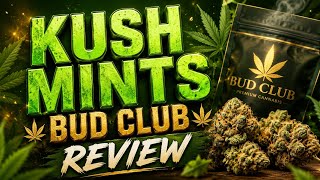 KUSH MINTS BUDCLUB REVIEW 🔥#cannabiscommunity #review 