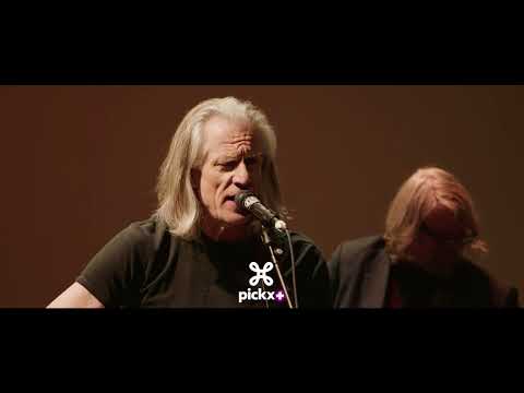 Guy Swinnen Band - Senor (Tales of Yankee power)