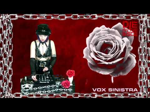 Vox Sinistra @ Die in the Disco 01.30.2021 (EBM Techno, Electro-Industrial, Darkwave, Synth)