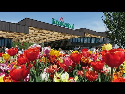 Keukenhof 2019 - The most beautiful spring garden in the world