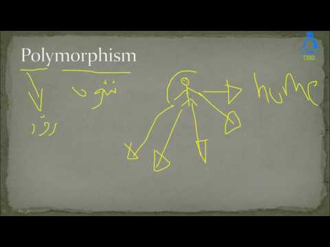 Java Object Oriented Programming 70 What Is Polymorphism In Java And Its Types