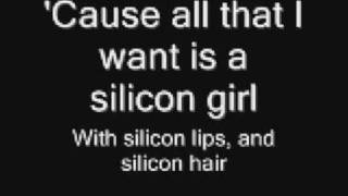 Silicon World Lyrics