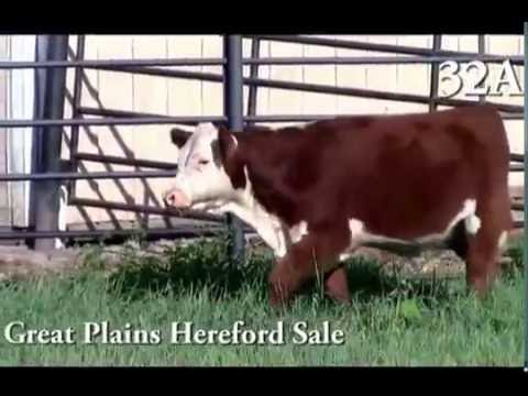 Lot 32A - SCHU-LAR 39D OF 104 27A (P43691591)