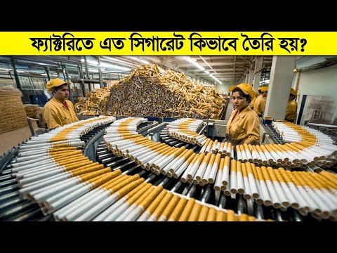 দেখুন ফ্যাক্টরিতে সিগারেট কিভাবে বানানো হচ্ছে! || How cigarettes are made in factory?