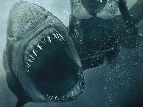 Trailer Shark Night - Das Grauen lauert in der Tiefe