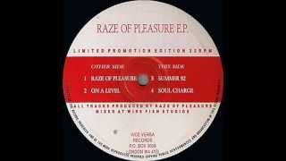 Raze Of Pleasure EP - Soul Charge