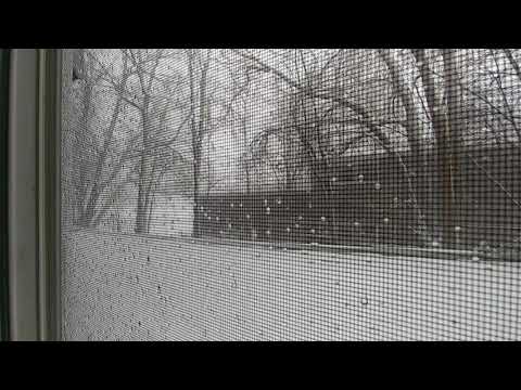 Colorado Springs blizzard march 13 2019