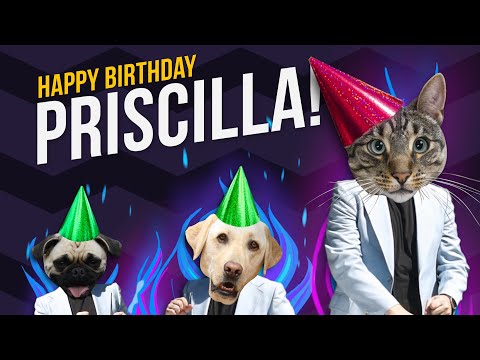 Happy Birthday Priscilla - Its time to dance!