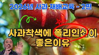 사과 착색에 폴리인산이 정말 좋은 이유 | 농사 100단