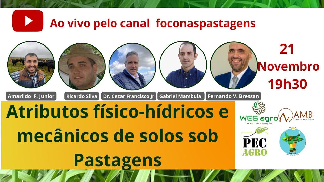 Atributos físicos-hídricos e mecânicos de solos sob Pastagens