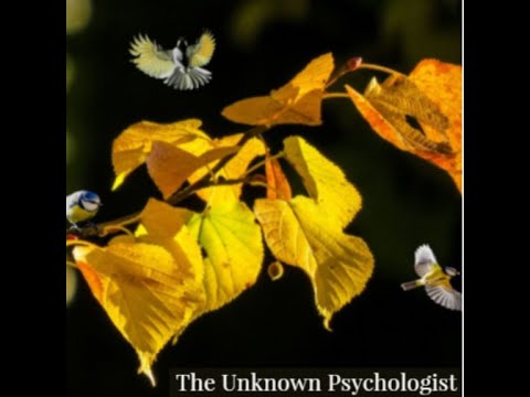 Birthday Session mixed by The Unknown Psychologist