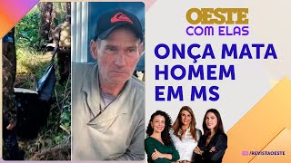 Gustavo Figueirôa explica como agir ao encontrar um felino