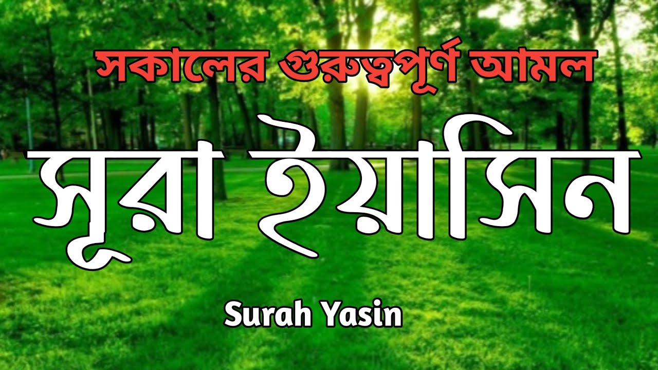 সূরা ইয়াসিন তেলাওয়াত। سورةيس। Sueah Yasin best voice quran tilawat by liakot ali ।