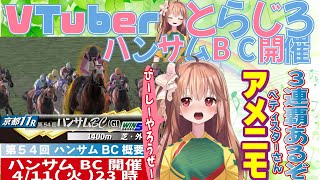 【第54回ハンサムBC】とらじろさん家のダービースタリオン#85