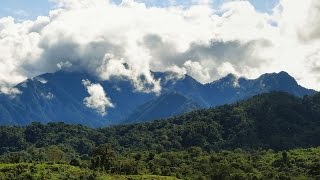 How do climate change and extreme weather impact our ecosystems?