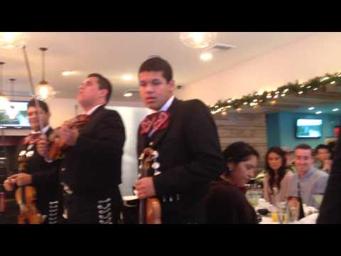 12 22 13 MI TESORO  Mariachi Los Toros