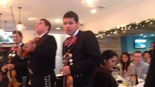 12 22 13 MI TESORO  Mariachi Los Toros