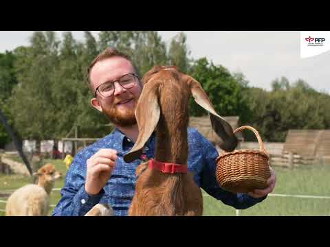 We are starting a company: hotels and agritourism