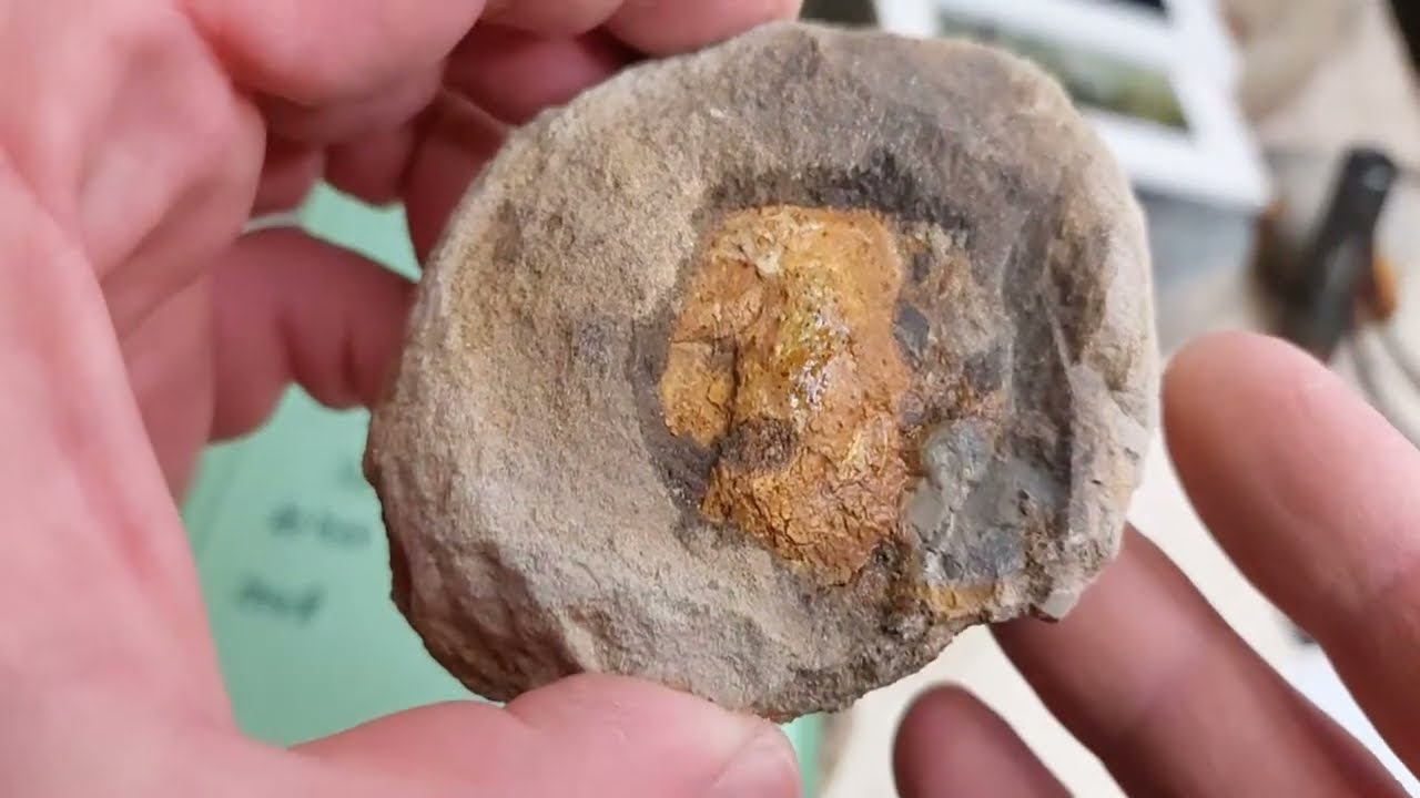 Mamlambo Fossils is live!