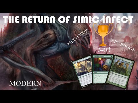 Simic Infect is back!! | 5-0 MTG Modern league | MTGO