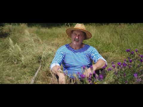 Alexandru Pelin - Țărișoara mea