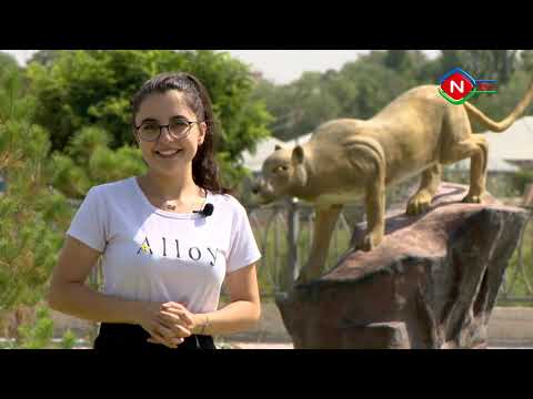 Birlikdə öyrənək - 22.08.2021