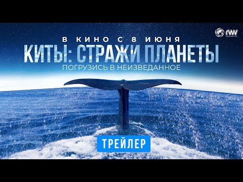 трейлер французского познавательного фильма КИТЫ: СТРАЖИ ПЛАНЕТЫ, в кино с 8 июня