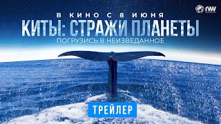 Трейлер: Киты: Стражи планеты