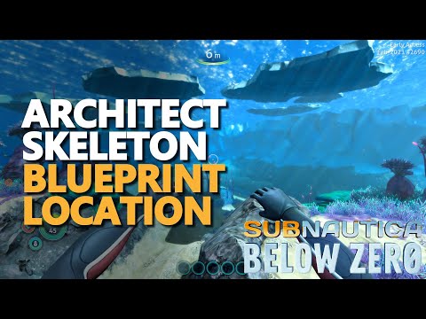 Architect Skeleton Subnautica Below Zero