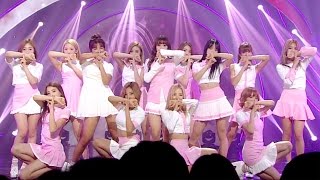 《CUTE》 WJSN (Cosmic Girls) (우주소녀) - Secret (비밀이야) @인기가요 Inkigayo 20160828