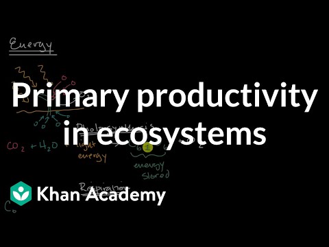 Primary productivity in ecosystems| Matter and Energy Flow| AP Environmental Science| Khan Academy