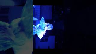 「2023年4月14日金曜日19時半 完全リニューアルオープン！ 」【TaroTV10286】