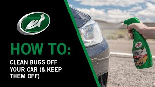 How To Clean Bugs off Your Car and Keep Them Off