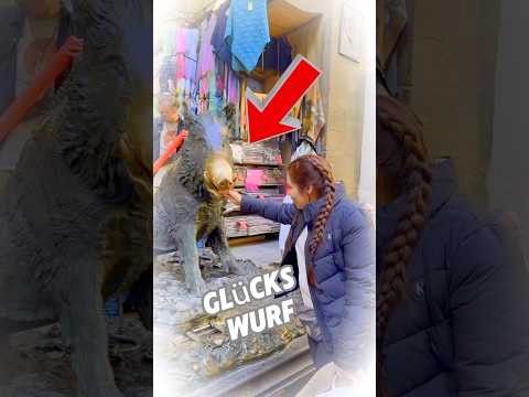 Wenn du die Münze in seinen Mund schaffst, hast du Glück! 🪙🍀 #Shorts