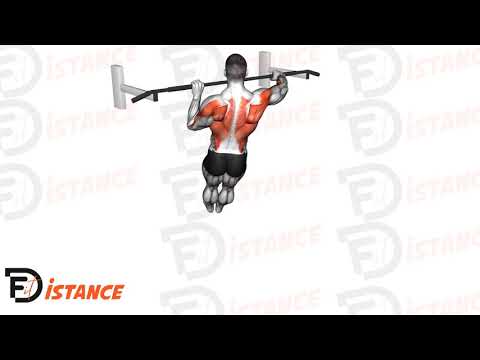 Exercice Tractions Archer