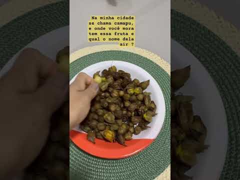 Hoje tive o privilégio de relembrar minha infância em @cametacamera Cametá para , que 😢