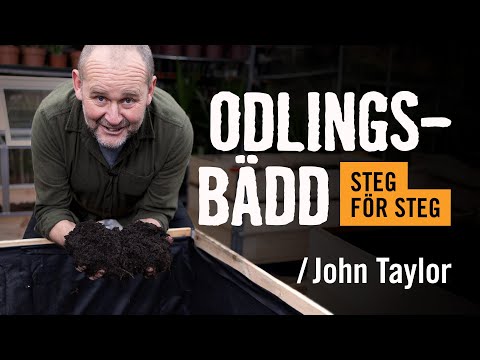 Starta upp en odlingsbädd /John Taylor | Tips & råd | Vi visar hur du gör [HORNBACH]