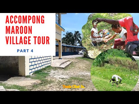 Accompong Maroon Village Tour| St. Elizabeth| Jamaica. #JAMAICA Part 4- Chat Jamaican with Tania